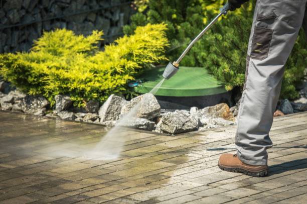 Best Solar Panel Cleaning  in Mountlake Terrace, WA
