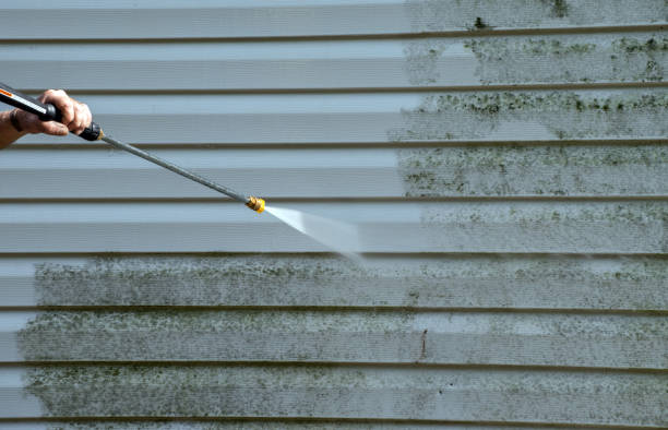 Best Gutter Cleaning  in Mountlake Terrace, WA